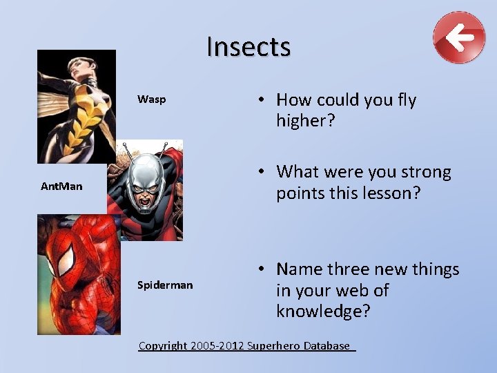 Insects Wasp • How could you fly higher? • What were you strong points