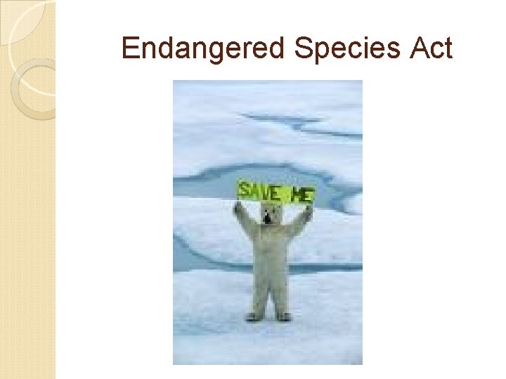 Endangered Species Act 