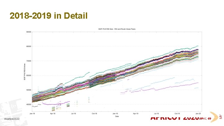 2018 -2019 in Detail 