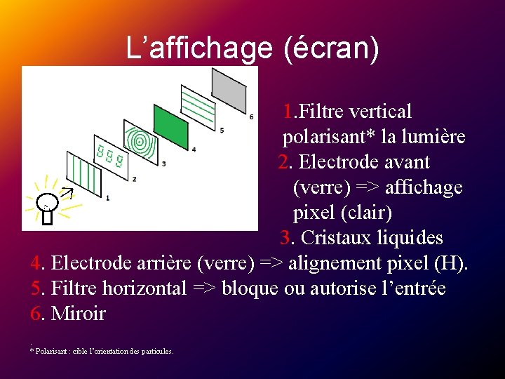 L’affichage (écran) 1. Filtre vertical polarisant* la lumière 2. Electrode avant (verre) => affichage