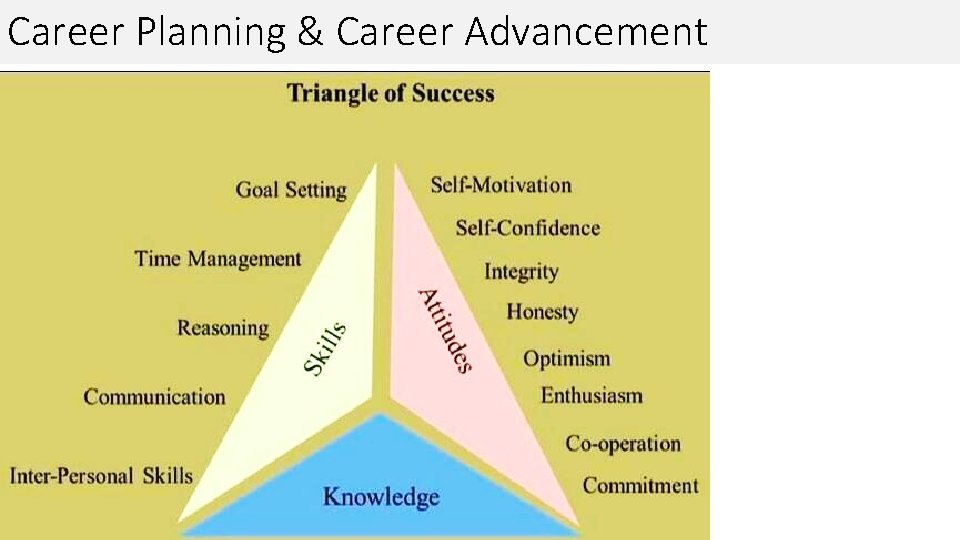 Career Planning & Career Advancement 