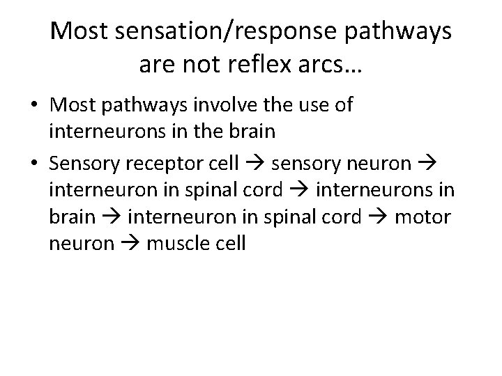 Most sensation/response pathways are not reflex arcs… • Most pathways involve the use of