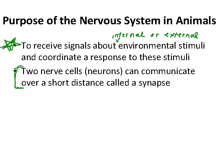 Purpose of the Nervous System in Animals • To receive signals about environmental stimuli