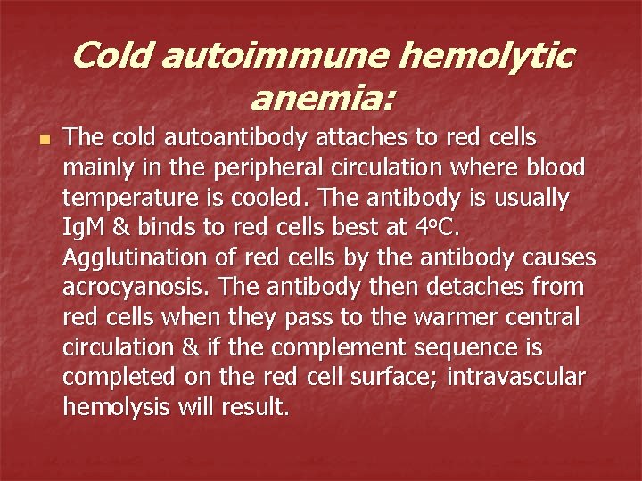 Cold autoimmune hemolytic anemia: n The cold autoantibody attaches to red cells mainly in