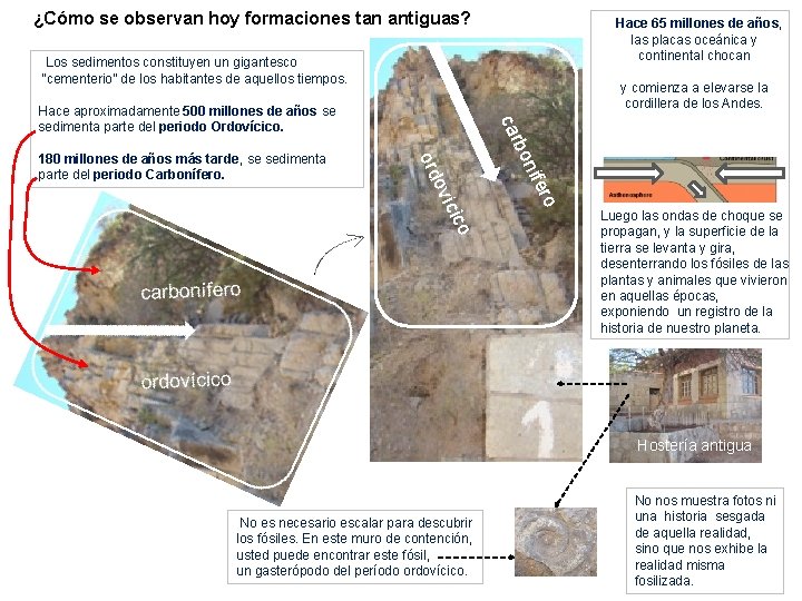 ¿Cómo se observan hoy formaciones tan antiguas? Hace 65 millones de años, las placas