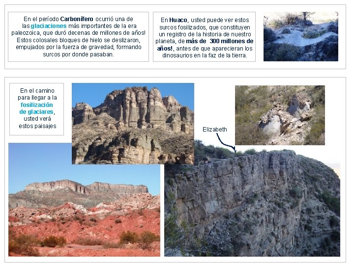 En el período Carbonífero ocurrió una de las glaciaciones más importantes de la era