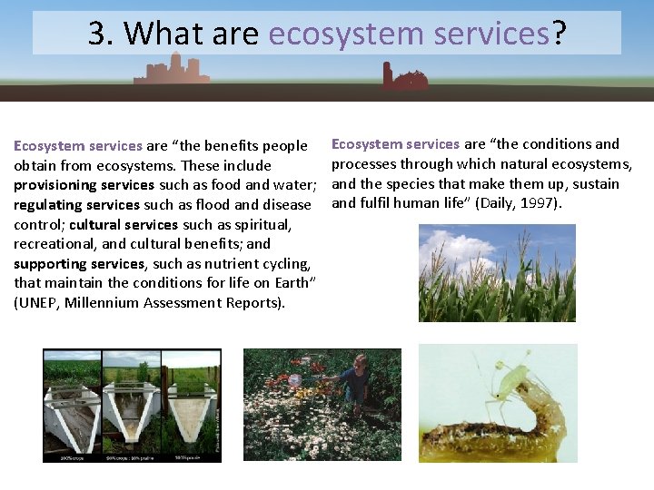 3. What are ecosystem services? Ecosystem services are “the benefits people obtain from ecosystems.