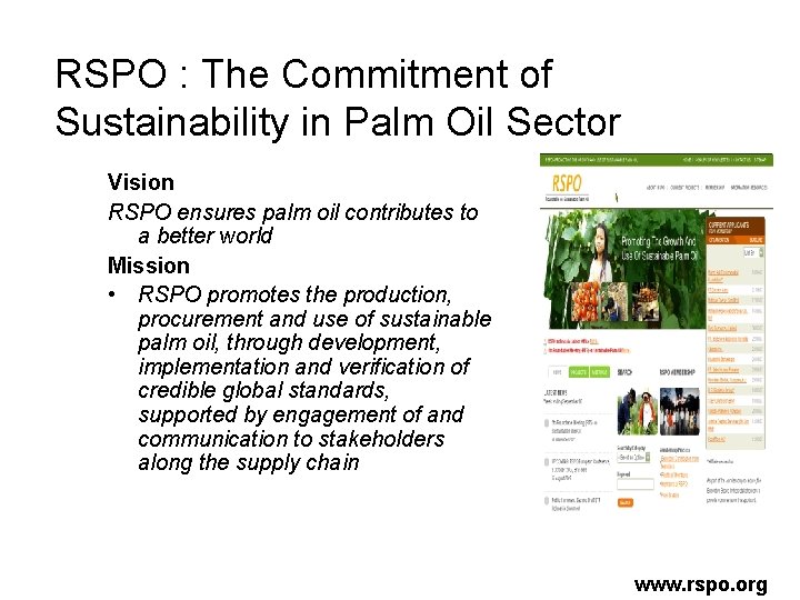 RSPO : The Commitment of Sustainability in Palm Oil Sector Vision RSPO ensures palm