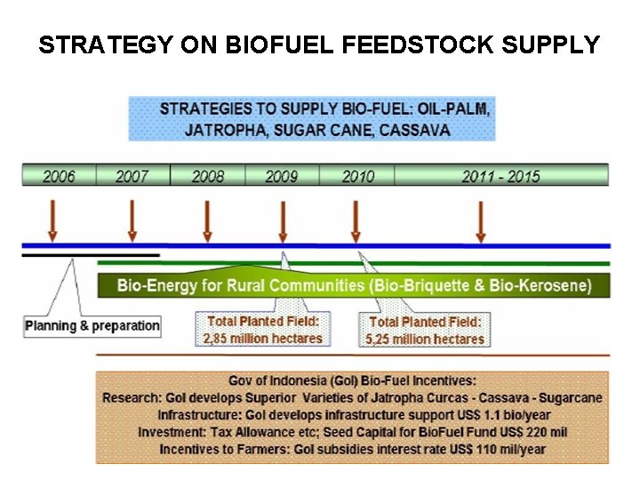 STRATEGY ON BIOFUEL FEEDSTOCK SUPPLY 
