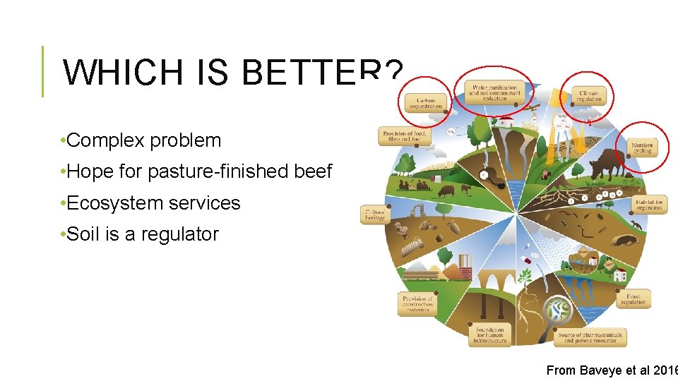 WHICH IS BETTER? • Complex problem • Hope for pasture-finished beef • Ecosystem services