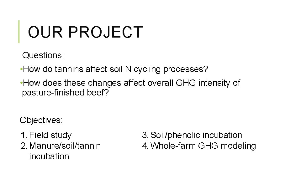 OUR PROJECT Questions: • How do tannins affect soil N cycling processes? • How