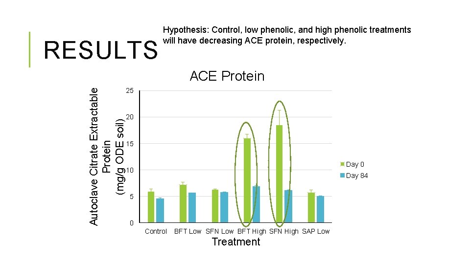 RESULTS Hypothesis: Control, low phenolic, and high phenolic treatments will have decreasing ACE protein,