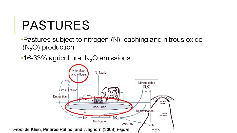 PASTURES • Pastures subject to nitrogen (N) leaching and nitrous oxide (N 2 O)