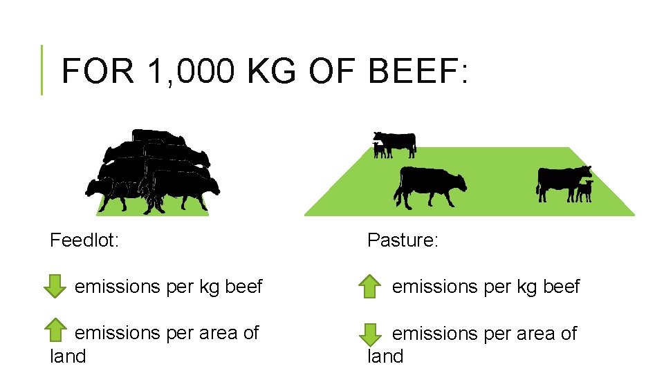 FOR 1, 000 KG OF BEEF: Feedlot: Pasture: emissions per kg beef emissions per