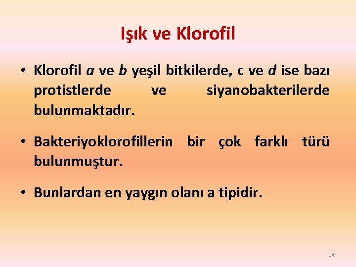 Işık ve Klorofil • Klorofil a ve b yeşil bitkilerde, c ve d ise