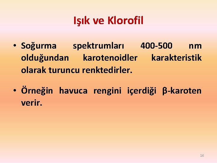Işık ve Klorofil • Soğurma spektrumları 400 -500 nm olduğundan karotenoidler karakteristik olarak turuncu Işık ve Klorofil • Soğurma spektrumları 400 -500 nm olduğundan karotenoidler karakteristik olarak turuncu