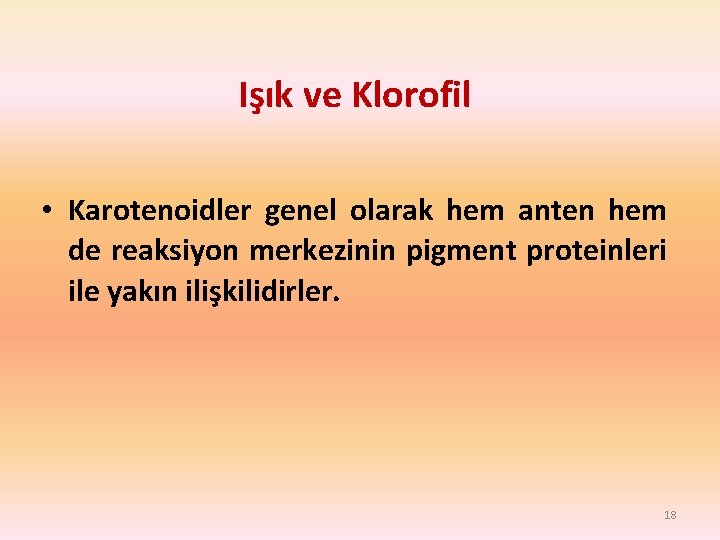 Işık ve Klorofil • Karotenoidler genel olarak hem anten hem de reaksiyon merkezinin pigment