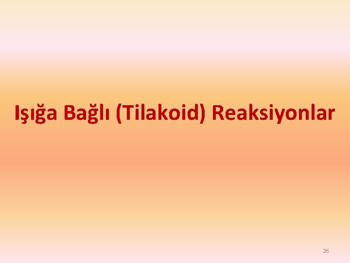 Işığa Bağlı (Tilakoid) Reaksiyonlar 26 