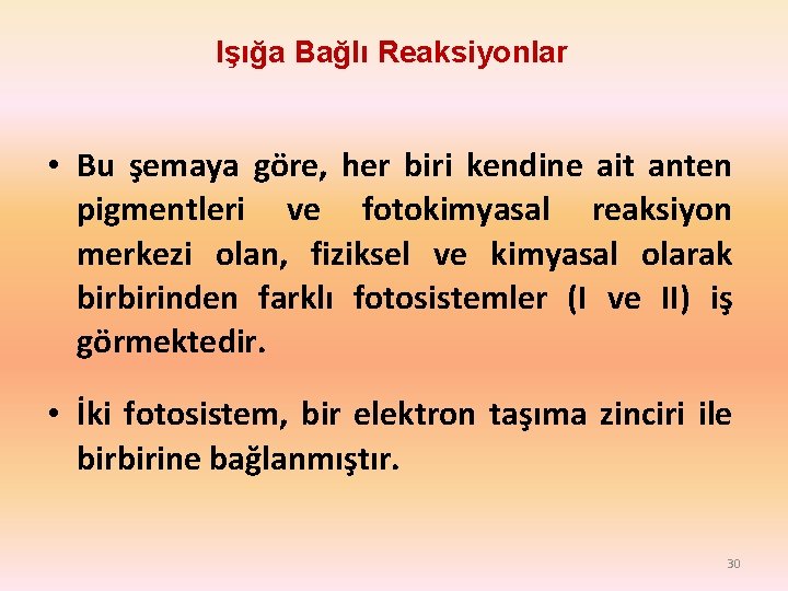 Işığa Bağlı Reaksiyonlar • Bu şemaya göre, her biri kendine ait anten pigmentleri ve