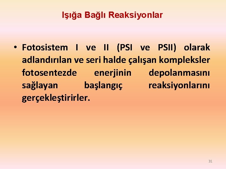 Işığa Bağlı Reaksiyonlar • Fotosistem I ve II (PSI ve PSII) olarak adlandırılan ve