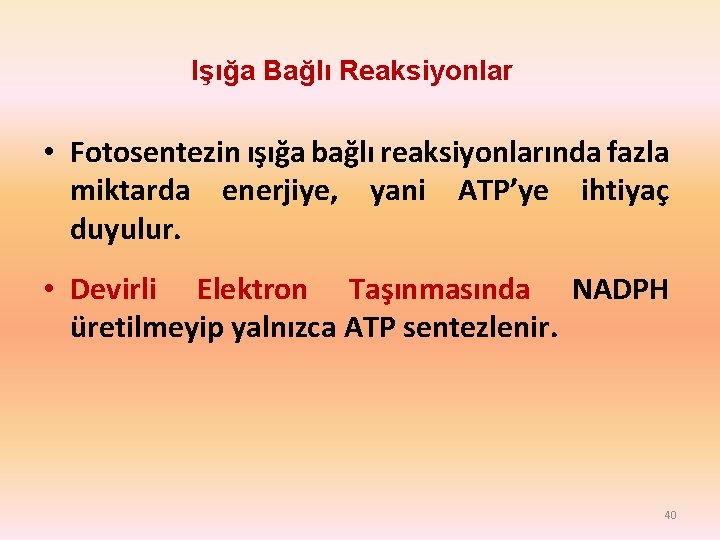 Işığa Bağlı Reaksiyonlar • Fotosentezin ışığa bağlı reaksiyonlarında fazla miktarda enerjiye, yani ATP’ye ihtiyaç Işığa Bağlı Reaksiyonlar • Fotosentezin ışığa bağlı reaksiyonlarında fazla miktarda enerjiye, yani ATP’ye ihtiyaç