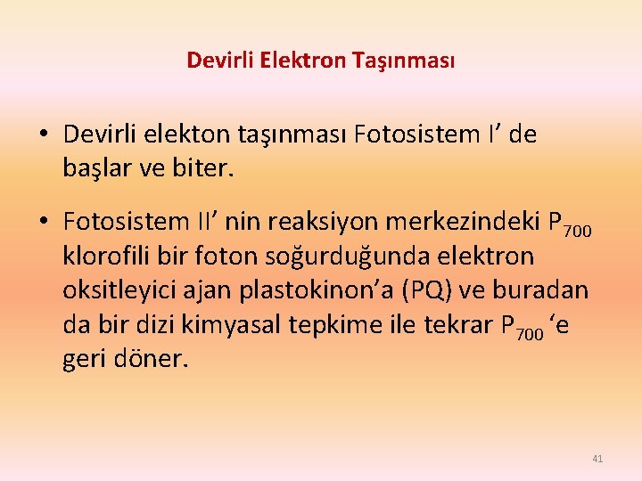 Devirli Elektron Taşınması • Devirli elekton taşınması Fotosistem I’ de başlar ve biter. •