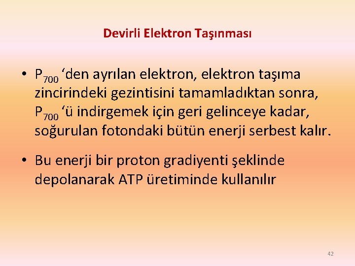 Devirli Elektron Taşınması • P 700 ‘den ayrılan elektron, elektron taşıma zincirindeki gezintisini tamamladıktan