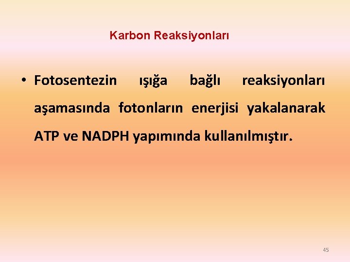 Karbon Reaksiyonları • Fotosentezin ışığa bağlı reaksiyonları aşamasında fotonların enerjisi yakalanarak ATP ve NADPH