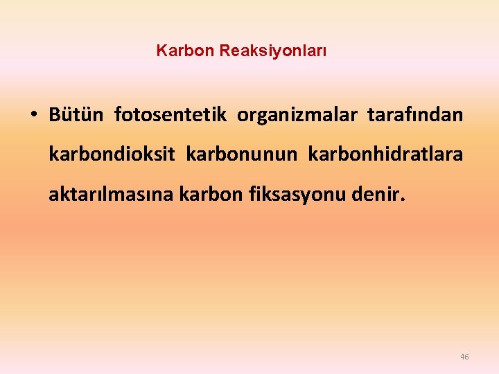 Karbon Reaksiyonları • Bütün fotosentetik organizmalar tarafından karbondioksit karbonunun karbonhidratlara aktarılmasına karbon fiksasyonu denir.