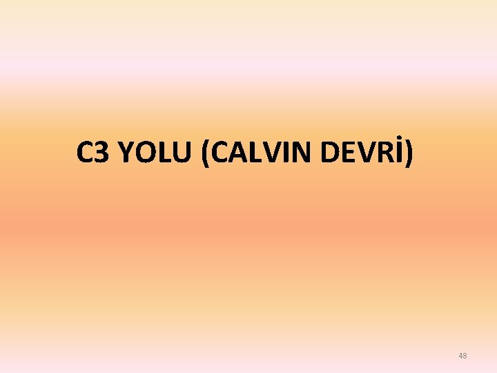 C 3 YOLU (CALVIN DEVRİ) 48 