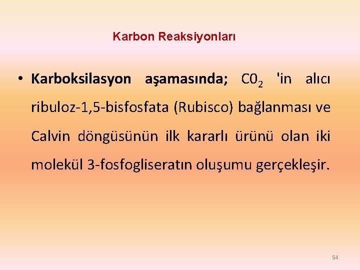 Karbon Reaksiyonları • Karboksilasyon aşamasında; C 02 'in alıcı ribuloz-1, 5 -bisfosfata (Rubisco) bağlanması Karbon Reaksiyonları • Karboksilasyon aşamasında; C 02 'in alıcı ribuloz-1, 5 -bisfosfata (Rubisco) bağlanması