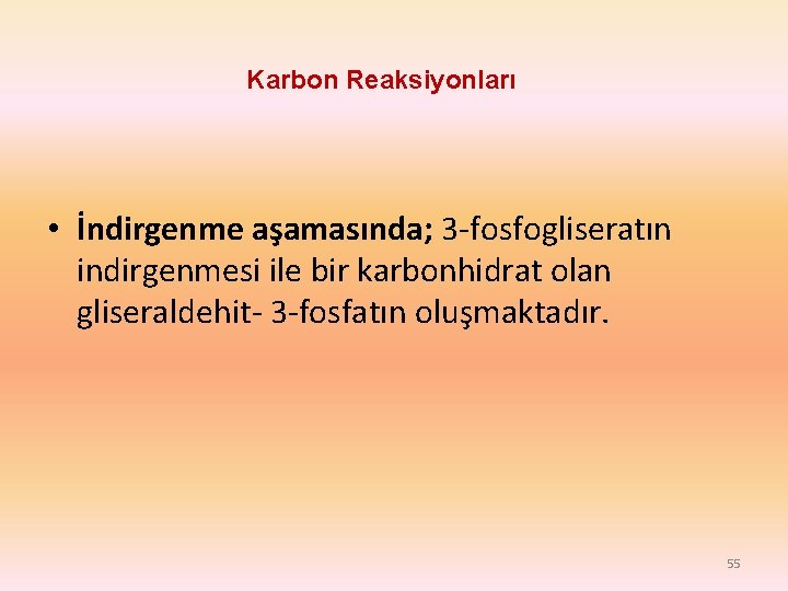 Karbon Reaksiyonları • İndirgenme aşamasında; 3 -fosfogliseratın indirgenmesi ile bir karbonhidrat olan gliseraldehit- 3