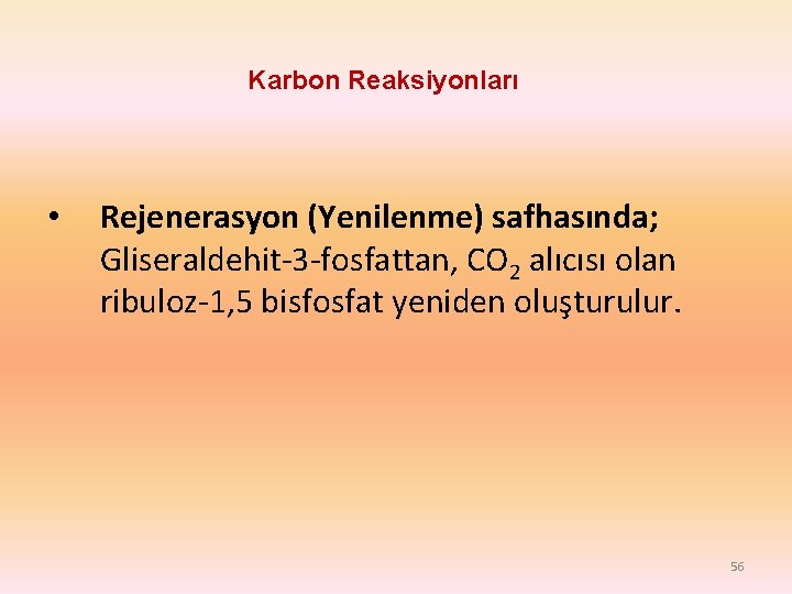 Karbon Reaksiyonları • Rejenerasyon (Yenilenme) safhasında; Gliseraldehit-3 -fosfattan, CO 2 alıcısı olan ribuloz-1, 5