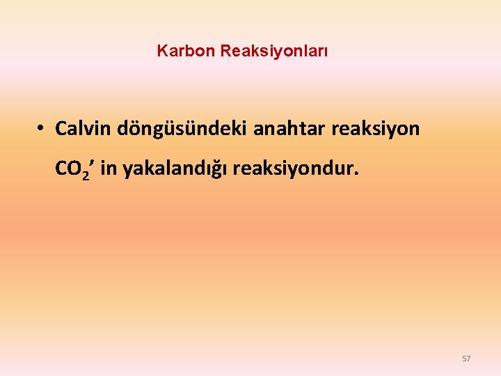 Karbon Reaksiyonları • Calvin döngüsündeki anahtar reaksiyon CO 2’ in yakalandığı reaksiyondur. 57 