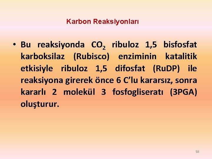Karbon Reaksiyonları • Bu reaksiyonda CO 2 ribuloz 1, 5 bisfosfat karboksilaz (Rubisco) enziminin Karbon Reaksiyonları • Bu reaksiyonda CO 2 ribuloz 1, 5 bisfosfat karboksilaz (Rubisco) enziminin