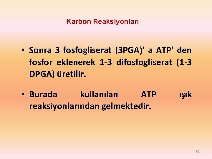 Karbon Reaksiyonları • Sonra 3 fosfogliserat (3 PGA)’ a ATP’ den fosfor eklenerek 1