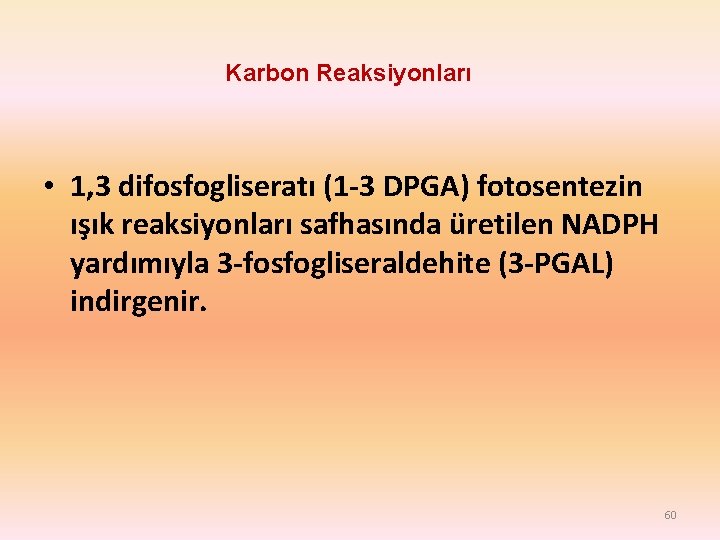 Karbon Reaksiyonları • 1, 3 difosfogliseratı (1 -3 DPGA) fotosentezin ışık reaksiyonları safhasında üretilen Karbon Reaksiyonları • 1, 3 difosfogliseratı (1 -3 DPGA) fotosentezin ışık reaksiyonları safhasında üretilen