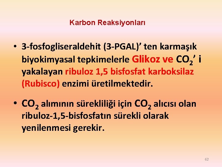Karbon Reaksiyonları • 3 -fosfogliseraldehit (3 -PGAL)’ ten karmaşık biyokimyasal tepkimelerle Glikoz ve CO