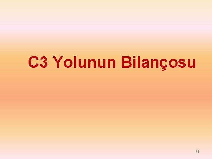 C 3 Yolunun Bilançosu 63 