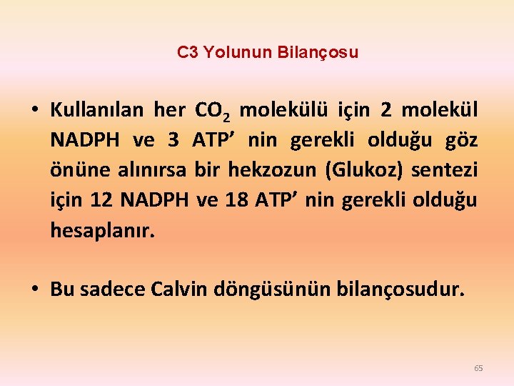 C 3 Yolunun Bilançosu • Kullanılan her CO 2 molekülü için 2 molekül NADPH