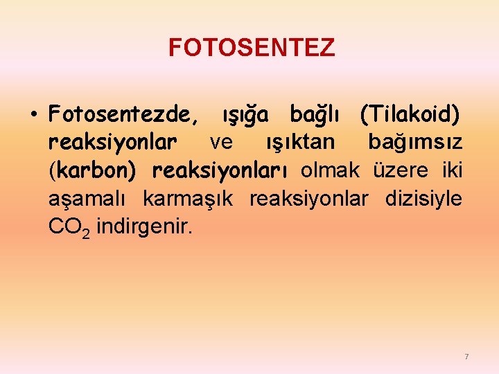 FOTOSENTEZ • Fotosentezde, ışığa bağlı (Tilakoid) reaksiyonlar ve ışıktan bağımsız (karbon) reaksiyonları olmak üzere