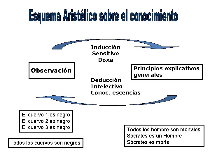 Inducción Sensitivo Doxa Observación Principios explicativos generales Deducción Intelectivo Conoc. escencias El cuervo 1