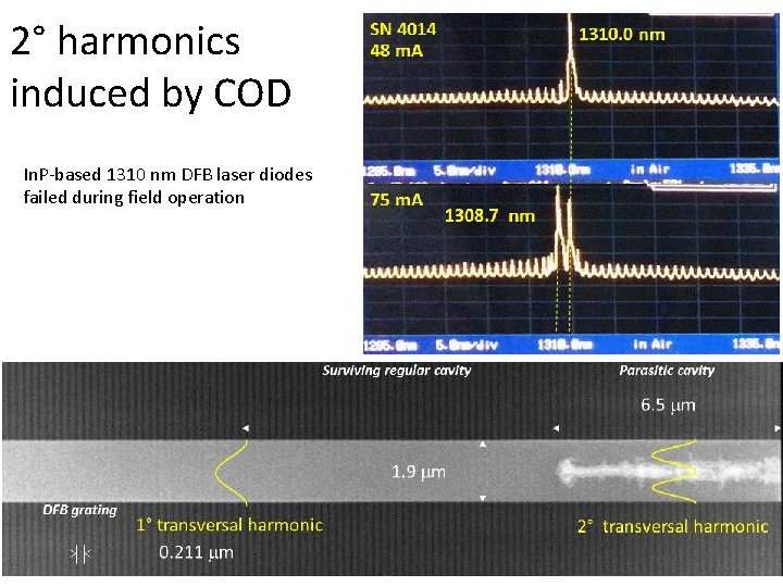 2° harmonics induced by COD In. P-based 1310 nm DFB laser diodes failed during