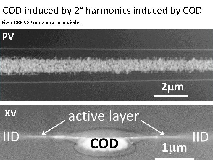 COD induced by 2° harmonics induced by COD Fiber DBR 980 nm pump laser