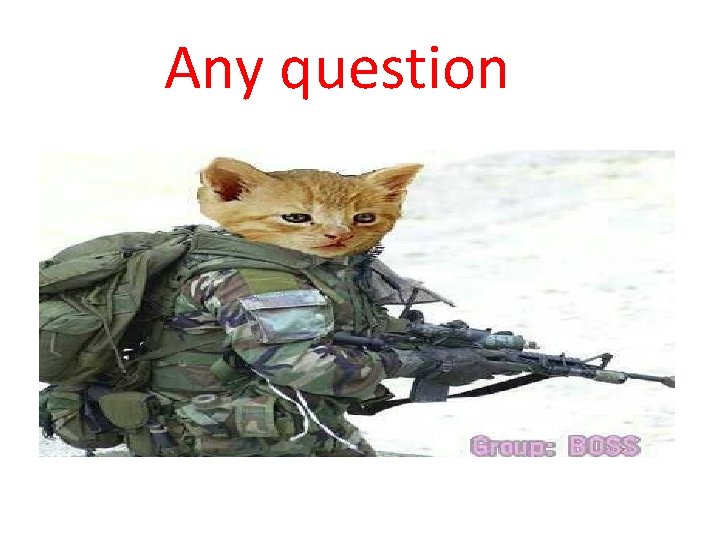 Any question Any question