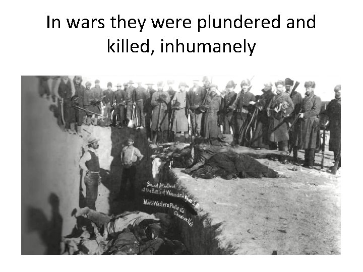 In wars they were plundered and killed, inhumanely 