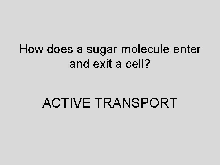 How does a sugar molecule enter and exit a cell? ACTIVE TRANSPORT 
