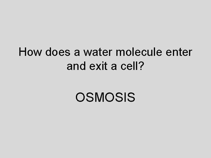 How does a water molecule enter and exit a cell? OSMOSIS 