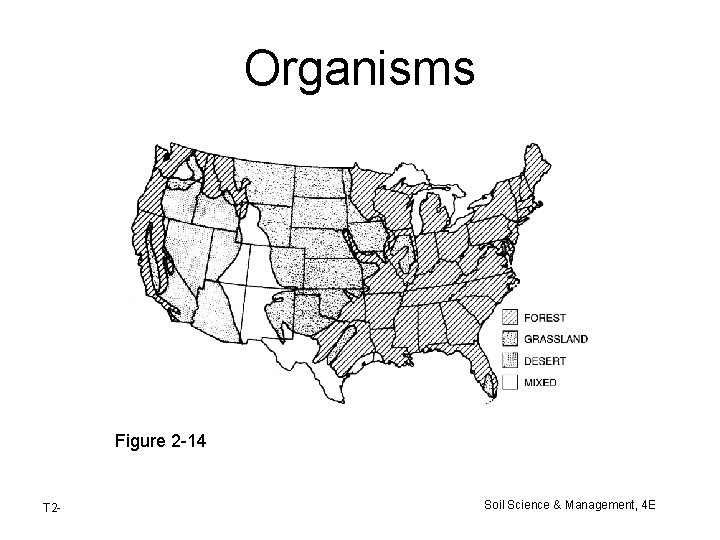Organisms Figure 2 -14 T 2 - Soil Science & Management, 4 E Organisms Figure 2 -14 T 2 - Soil Science & Management, 4 E