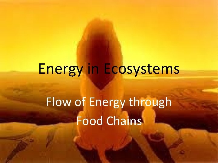 Energy in Ecosystems Flow of Energy through Food Chains 